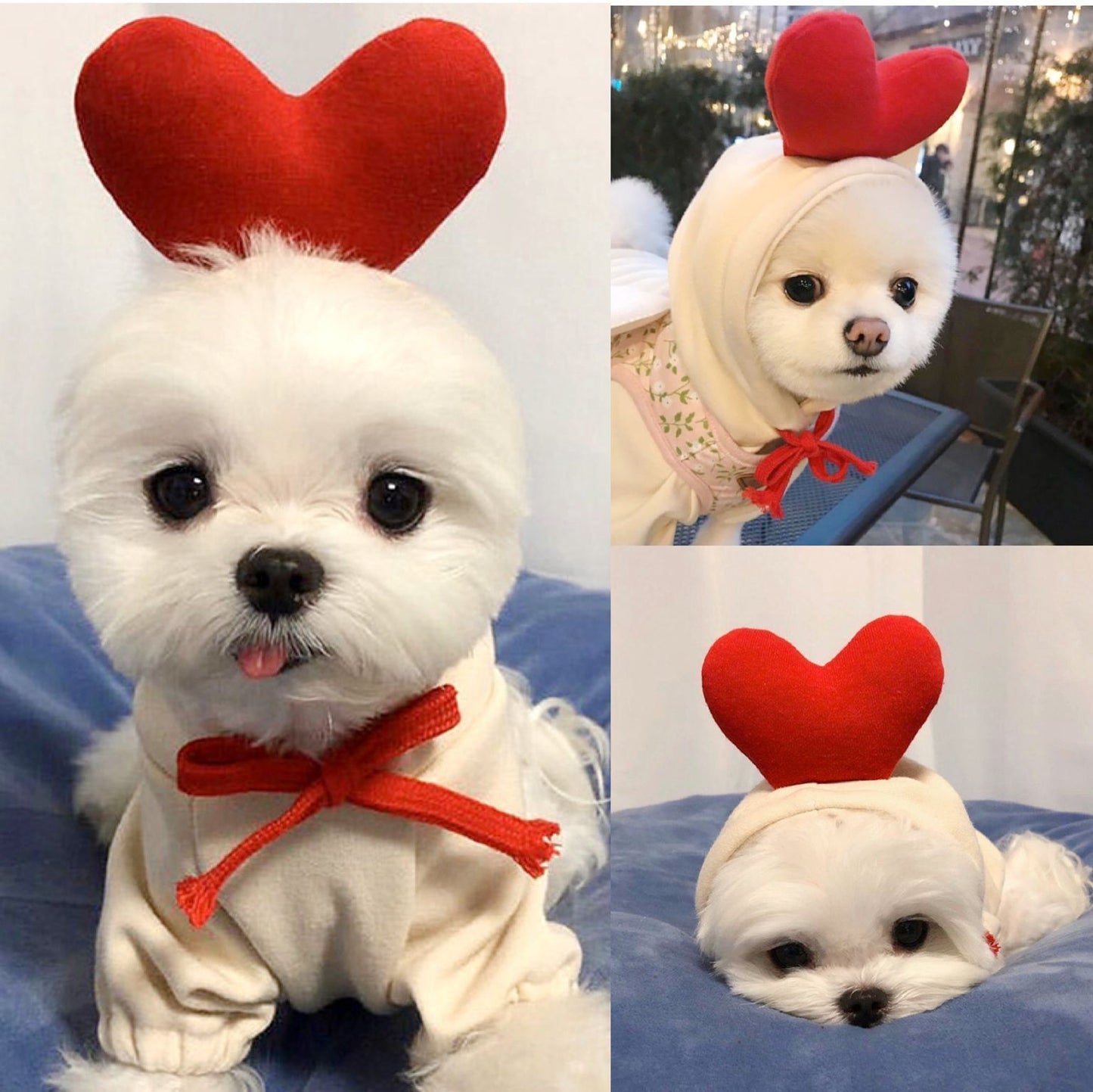Cute Fruit Dog Hoodie – Soft Fleece Outfit for Small Pets