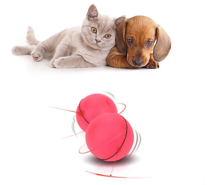 Fun LED Laser Cat Toy Ball – Automatic & Rechargeable - PetLuxe Essentials