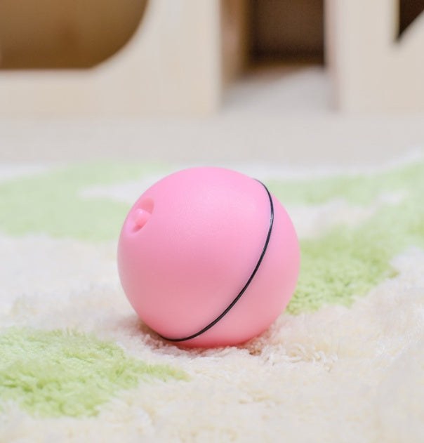 Fun LED Laser Cat Toy Ball – Automatic & Rechargeable - PetLuxe Essentials