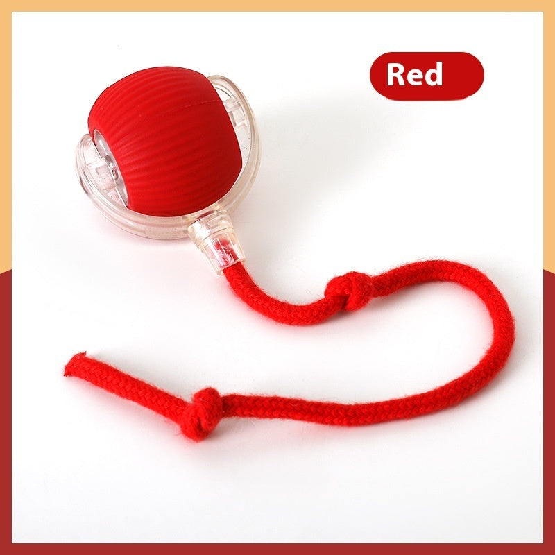 Interactive Cat Toy Ball – Rechargeable & Self-Rotating - PetLuxe Essentials