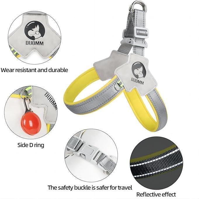 Reflective No-Pull Pet Harness & Leash Set - PetLuxe Essentials