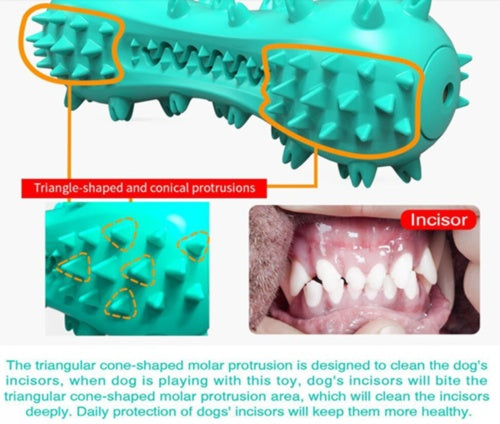 Dog Chew Toy for Teeth Cleaning & Play - PetLuxe Essentials