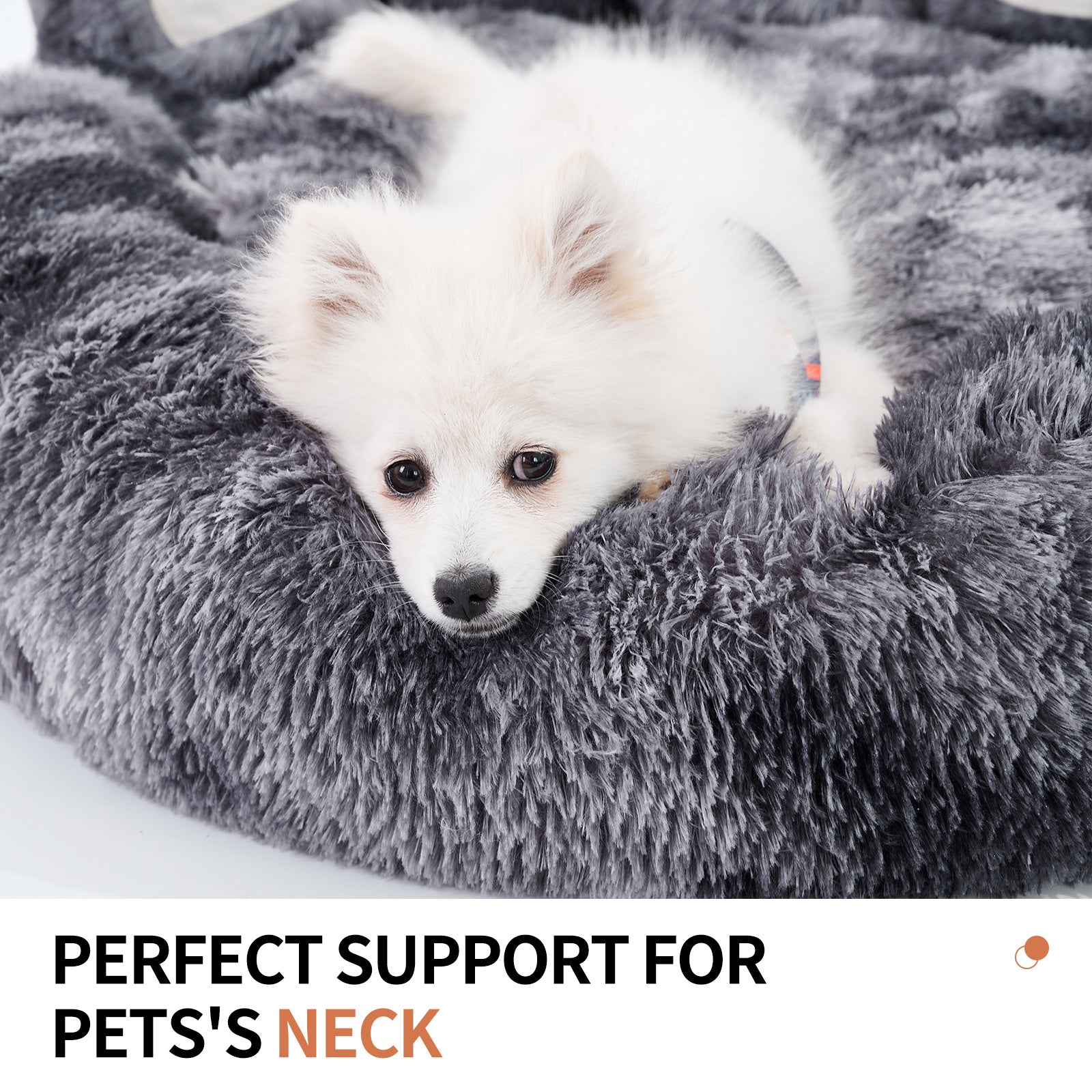 Cozy Bear Paw Bed for Small & Medium Dogs - PetLuxe Essentials 