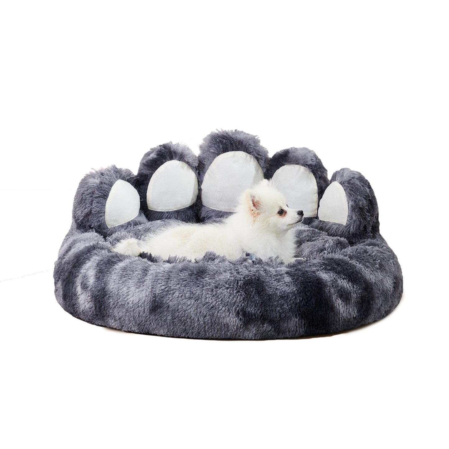 Cozy Bear Paw Bed for Small & Medium Dogs - PetLuxe Essentials 