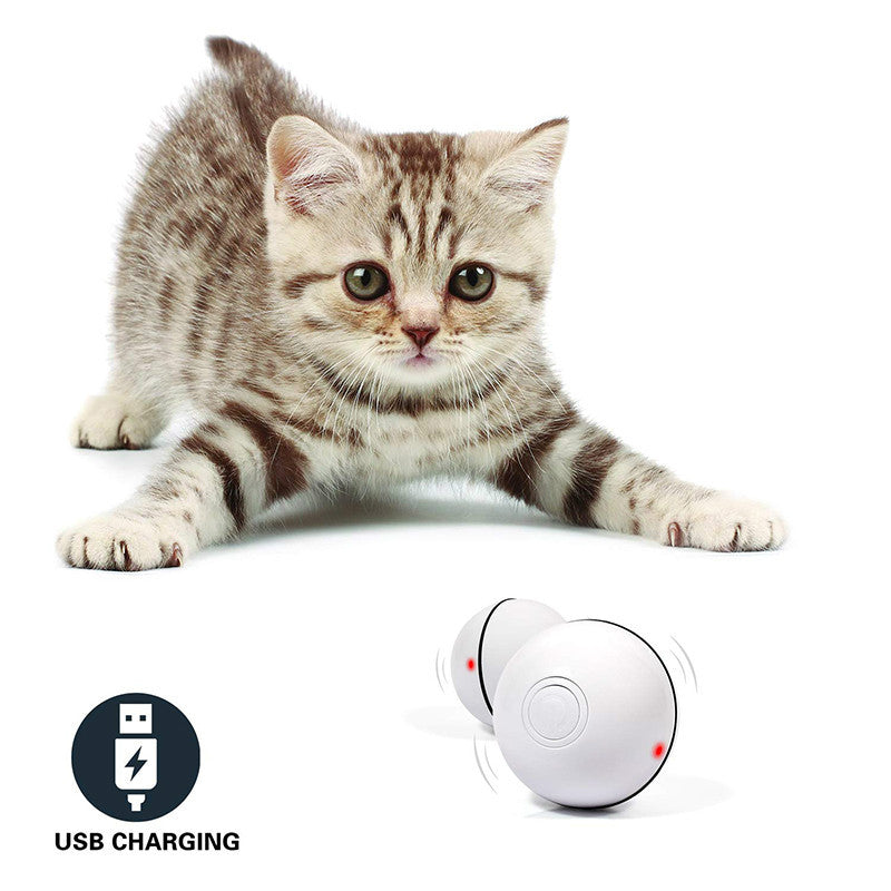 Fun LED Laser Cat Toy Ball – Automatic & Rechargeable - PetLuxe Essentials 