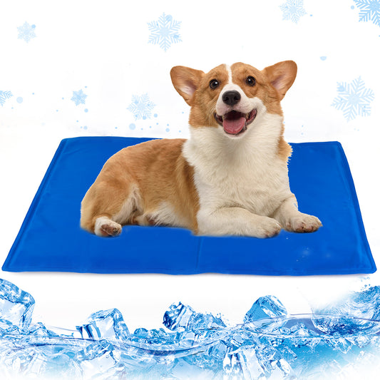 Pressure-Activated Cooling Mat for Pets - PetLuxe Essentials 