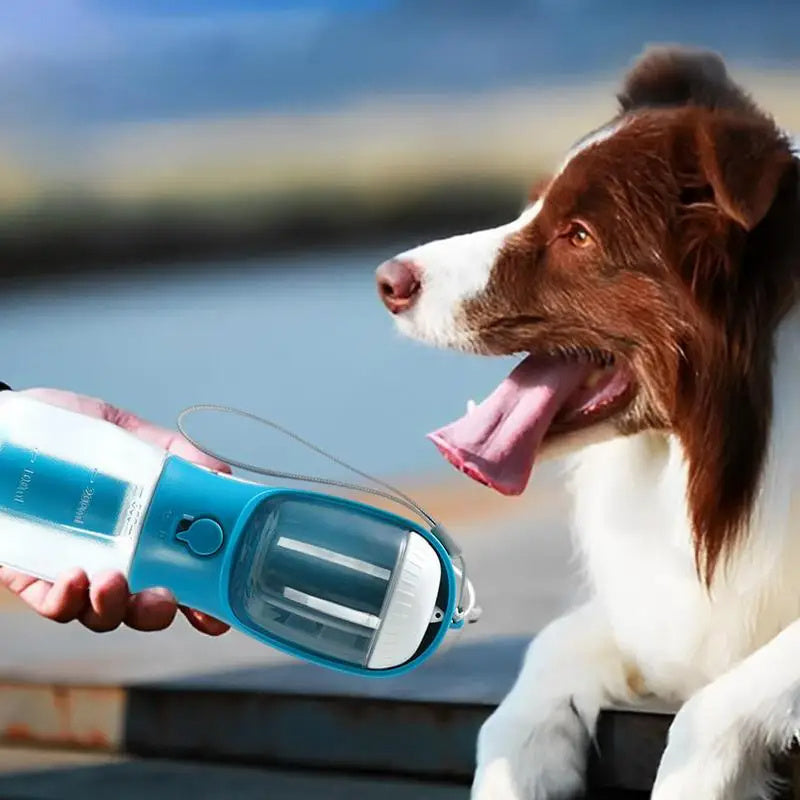 3-in-1 Dog Water Bottle with Food & Waste Bag Holder - PetLuxe Essentials 