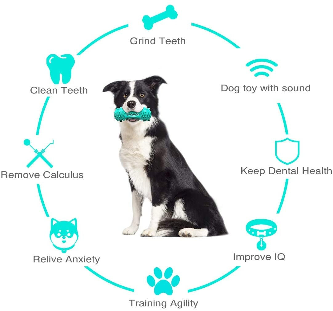 Dog Chew Toy for Teeth Cleaning & Play - PetLuxe Essentials 