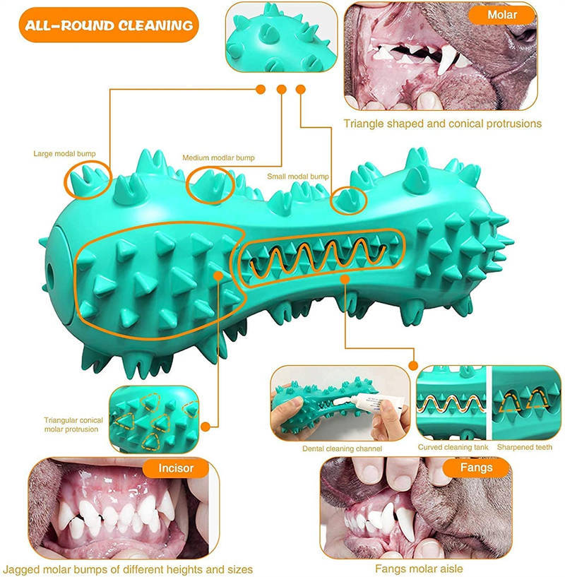Dog Chew Toy for Teeth Cleaning & Play - PetLuxe Essentials 