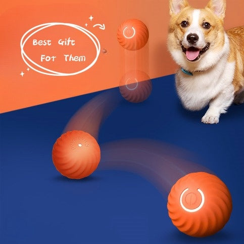 Smart Bouncing Dog Ball for Chewing & Play - PetLuxe Essentials 