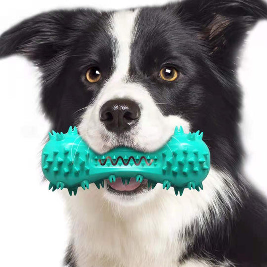 Dog Chew Toy for Teeth Cleaning & Play - PetLuxe Essentials 