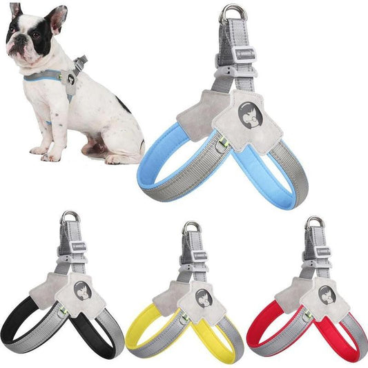 Reflective No-Pull Pet Harness & Leash Set - PetLuxe Essentials 