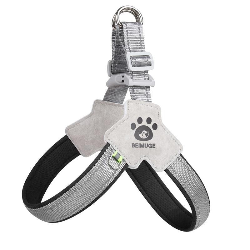 Reflective No-Pull Pet Harness & Leash Set - PetLuxe Essentials 