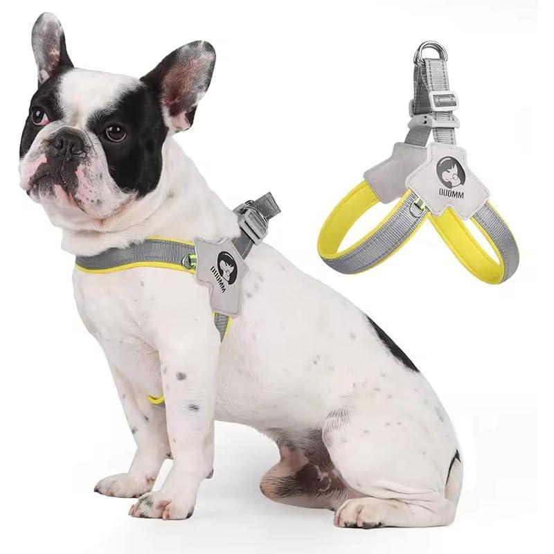 Reflective No-Pull Pet Harness & Leash Set - PetLuxe Essentials 