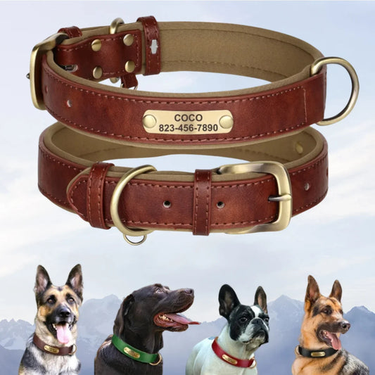 Custom Leather Dog Collar with Engraved ID Tag - PetLuxe Essentials 