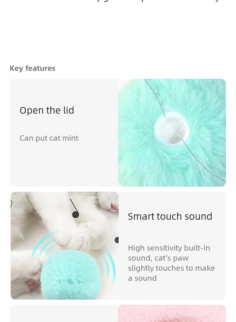 Interactive Cat Toy Ball with Real Sounds - PetLuxe Essentials 