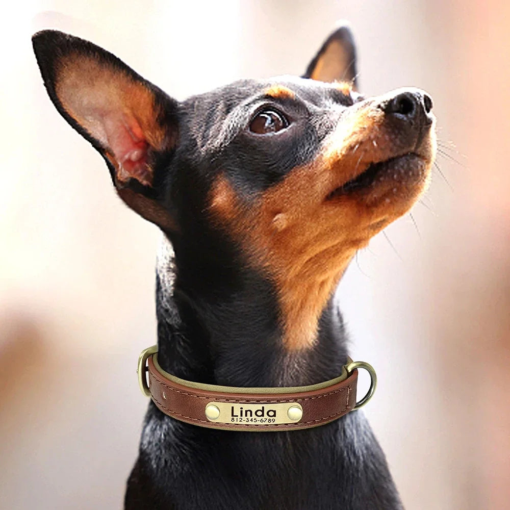 Custom Leather Dog Collar with Engraved ID Tag - PetLuxe Essentials 