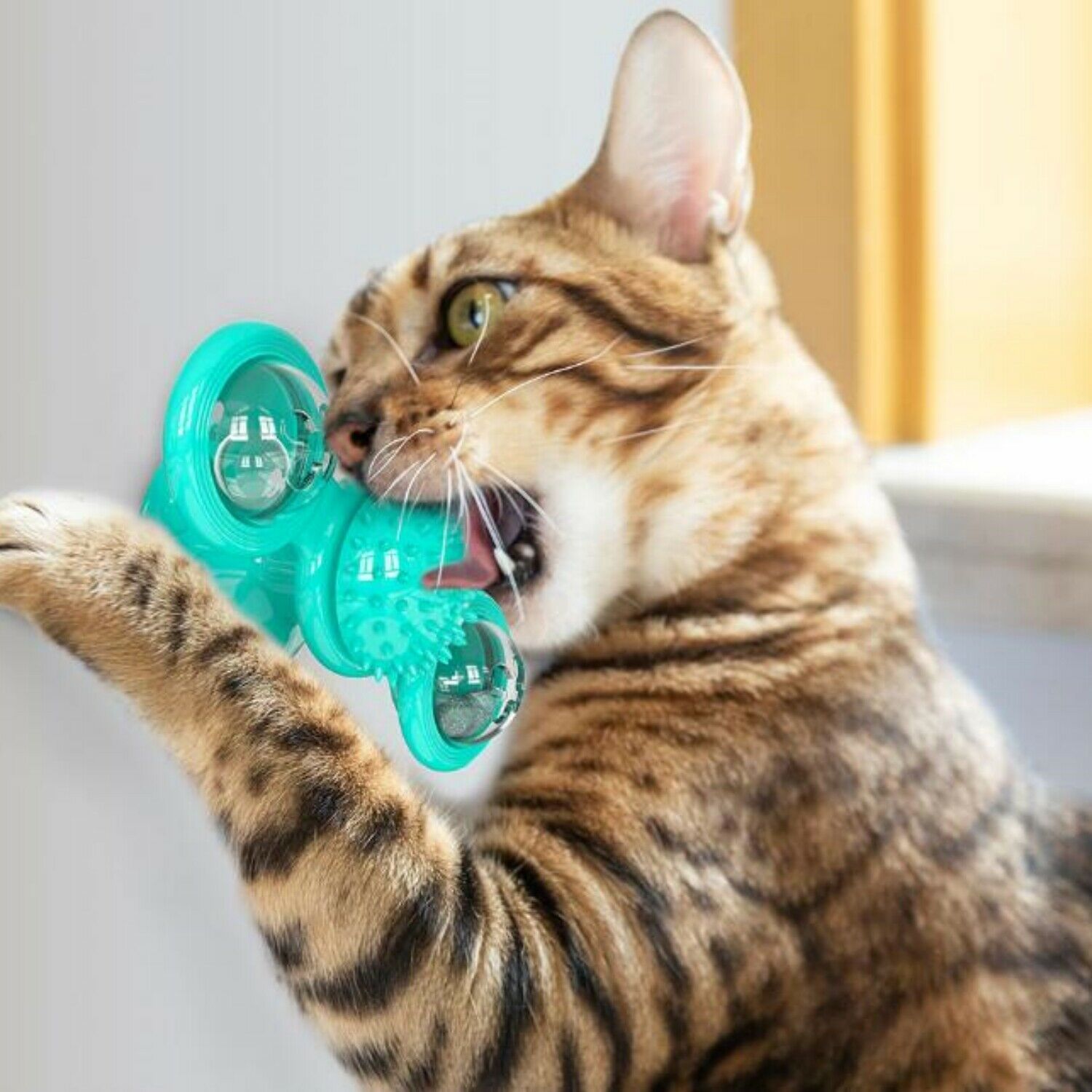 Rotating Cat Windmill Toy – Play, Clean, and Relax - PetLuxe Essentials 