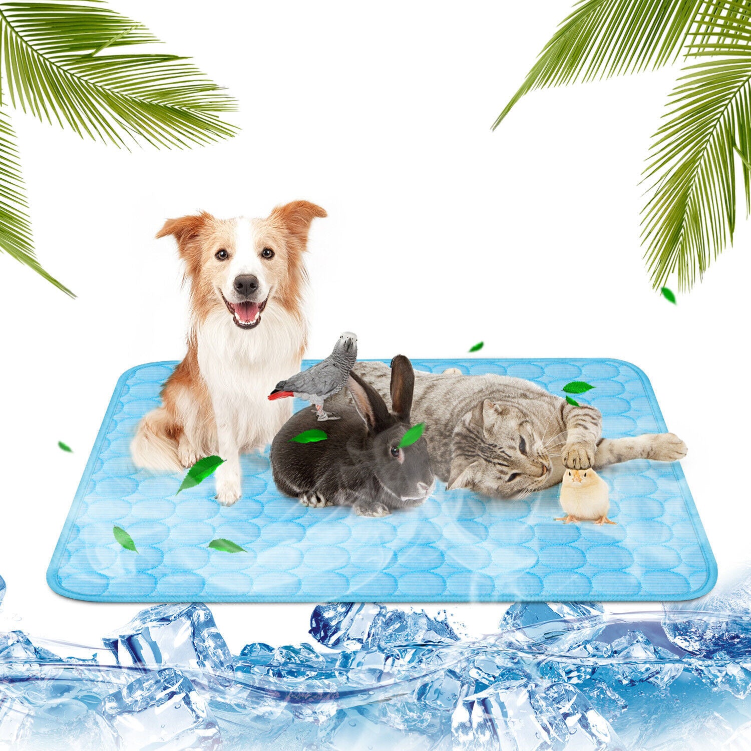 Self-Cooling Pet Mat for Summer Comfort - PetLuxe Essentials 