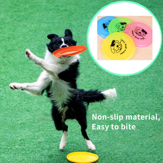Dog Flying Disc Toy - PetLuxe Essentials 