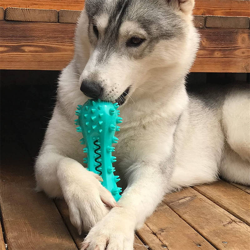 Dog Chew Toy for Teeth Cleaning & Play - PetLuxe Essentials 