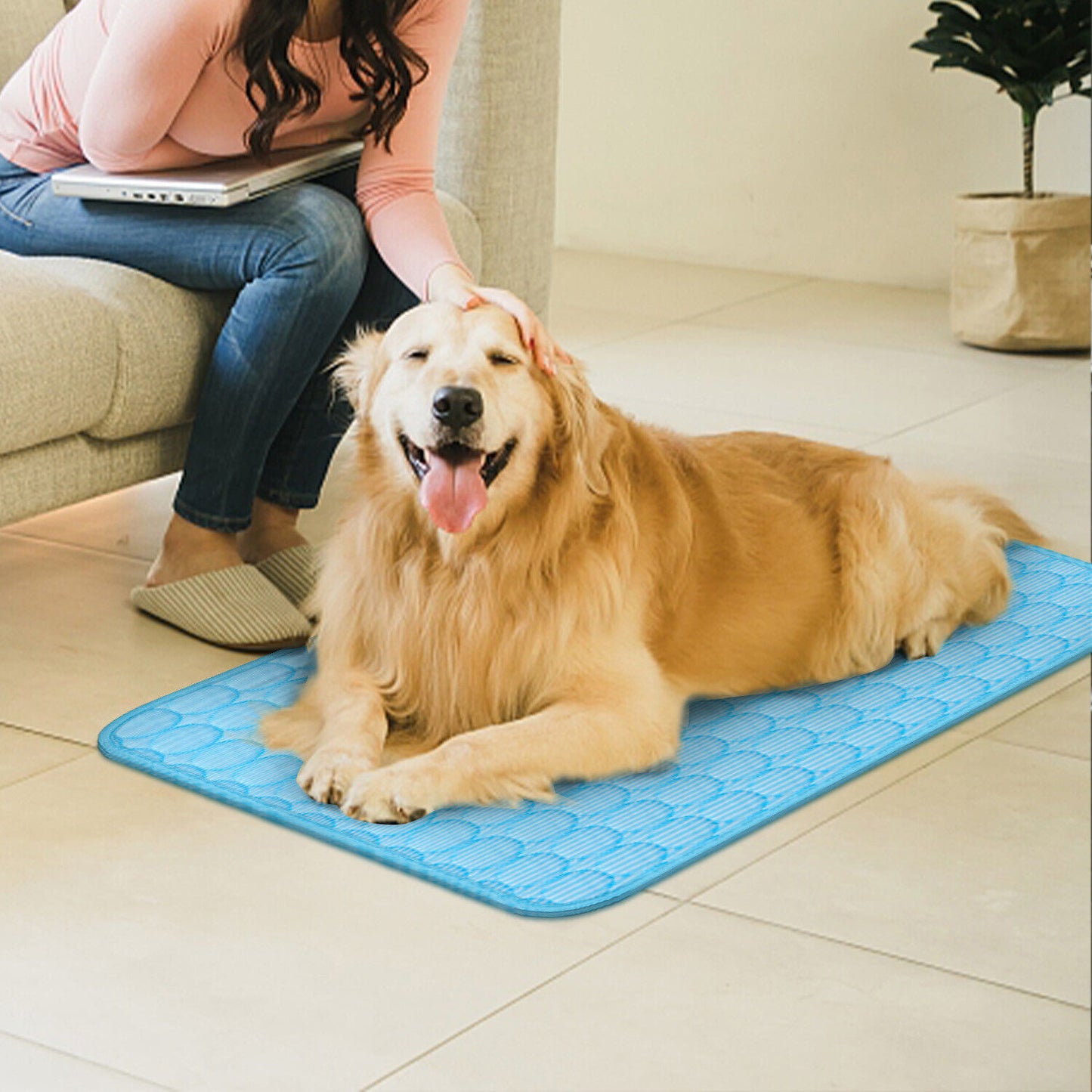 Self-Cooling Pet Mat for Summer Comfort - PetLuxe Essentials 