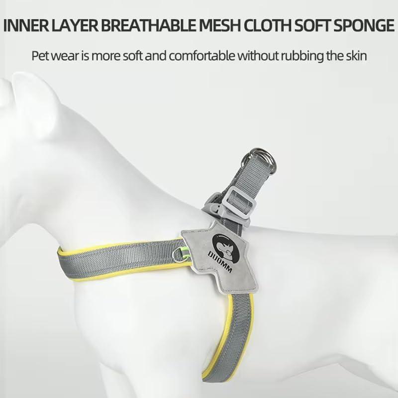 Reflective No-Pull Pet Harness & Leash Set - PetLuxe Essentials 