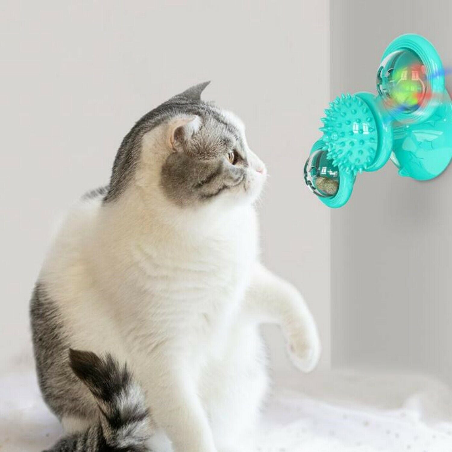 Rotating Cat Windmill Toy – Play, Clean, and Relax - PetLuxe Essentials 