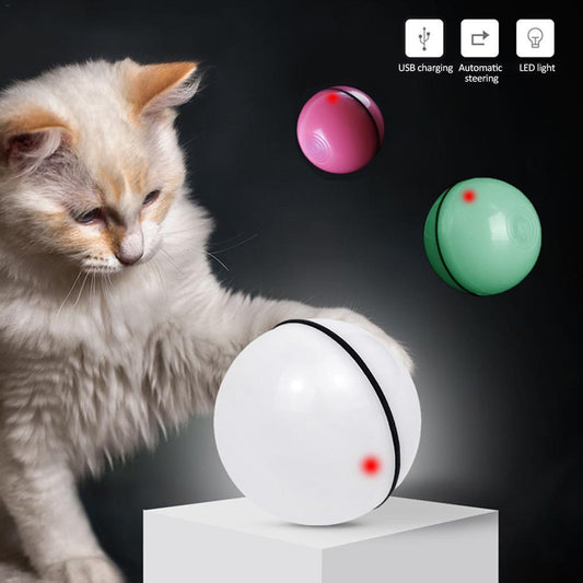Fun LED Laser Cat Toy Ball – Automatic & Rechargeable - PetLuxe Essentials 