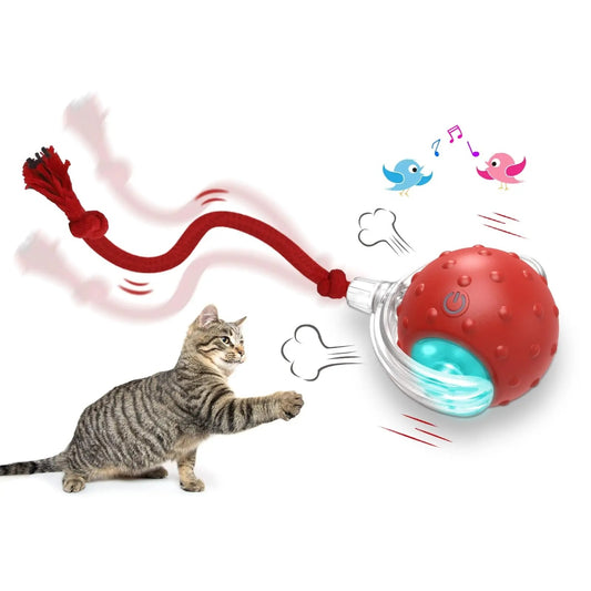 Interactive Cat Toy Ball – Rechargeable & Self-Rotating - PetLuxe Essentials 